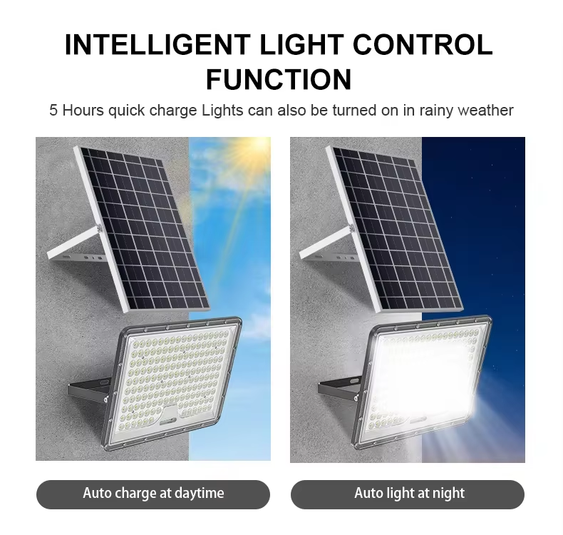 Separated Floodlight HT100_details_02