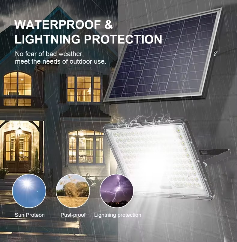 Separated Floodlight HT100_details_03