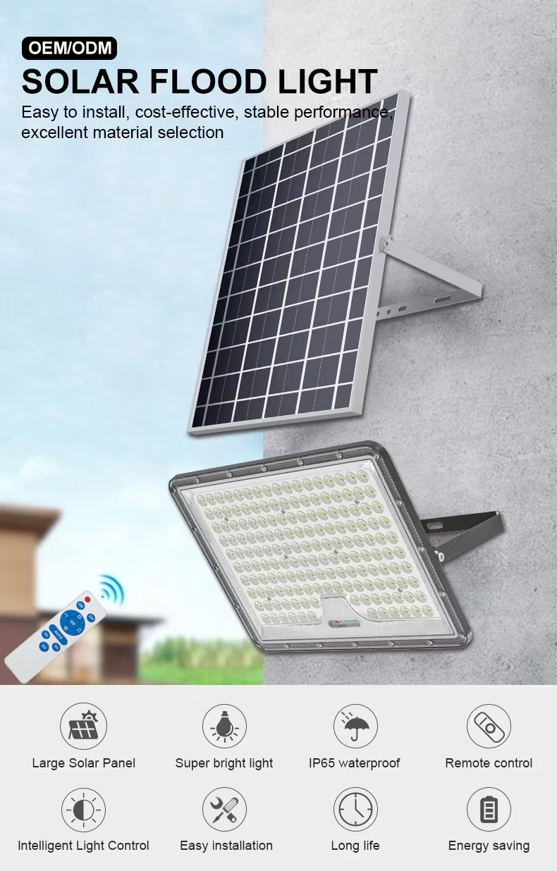 Separated Floodlight HT100_details_04